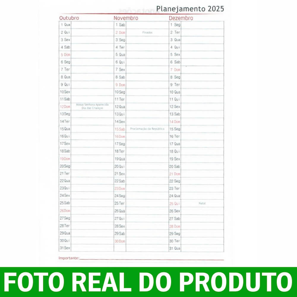 AGENDA 2024 /AGENDA DIÁRIA /CAPA COUCHÊ 150G NO PAPEL PARANÁ 2MM / 150X210MM - Image 5